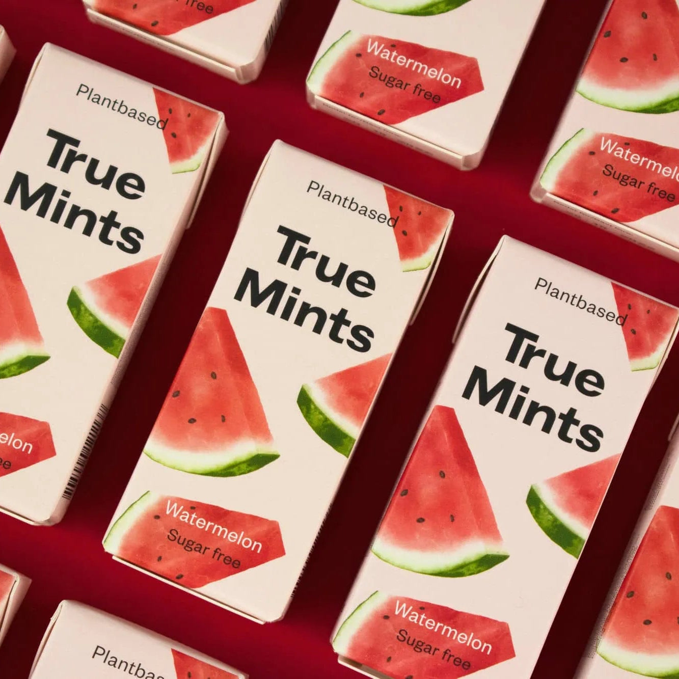 Svieži dych s pastilkami True Mints melón
