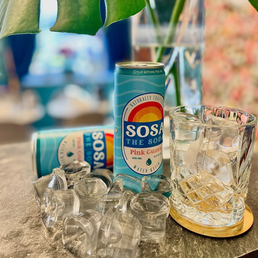 Sosa The Soda Water Kefir Pink Guava 330 ml