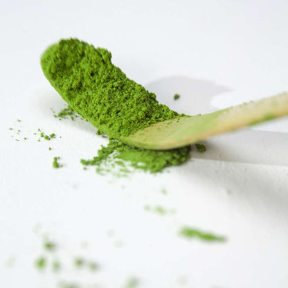 bambusová lyžička chashaku na matcha tradičný japonský nástroj na dávkovanie matchy