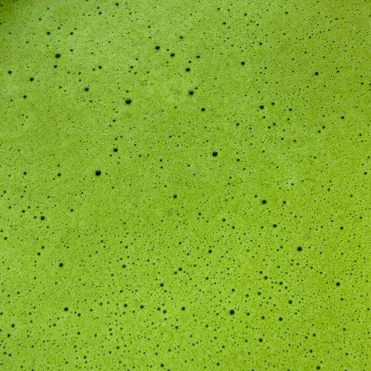 Estywell ceremoniálna matcha