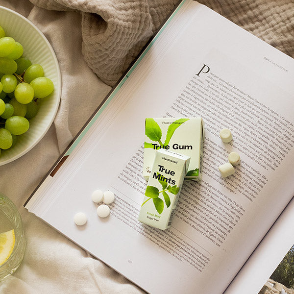 True Gum Mäta – bez cukru a vegánska